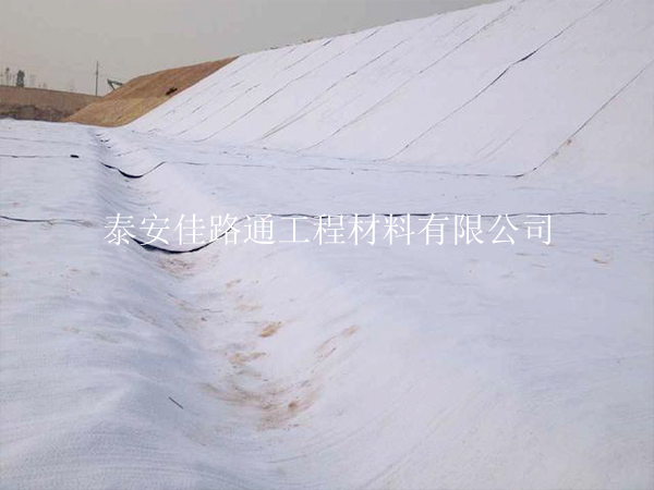 標(biāo)題：智馭自然之力：透水土工布使用注意事項新視角